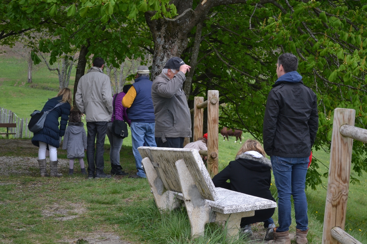 Chasse aux oeufs 2014