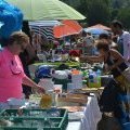 Fête de l'été 2015
