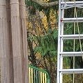 La Croix du Rosaire - non datées