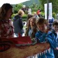 Fête des écoles 2017