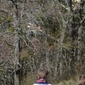 Chasse aux oeufs 2016