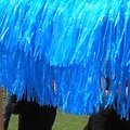 Fête de l'été 2011