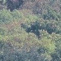 La Chapelle de Chermont 2003