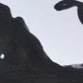 Les virades de l'espoir 2012