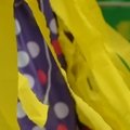 Fête des écoles 2017