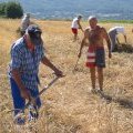 Fête de l'été 2003
