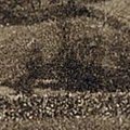 La Cave aux Fées