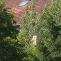 Les vielles pierres de Saint-Cergues - non datées
