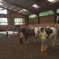 Club de loisirs - été 2016 - semaine 3