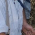 Fête de l'été 2003