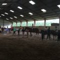 Club de loisirs - été 2016 - semaine 6