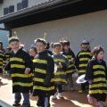 Carnaval 2011