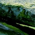 La cave aux fées 2007