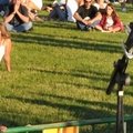 Fête de la musique 2011