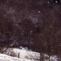 La Chapelle de Chermont 1995
