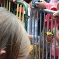 Fête des écoles 2014