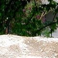 Le protogine - non datées