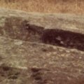 La cave aux fées non datées