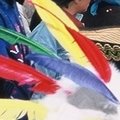 Carnaval 2004
