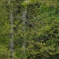 Chasse aux oeufs 2014