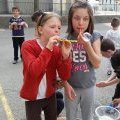 Club de loisirs - Printemps 2015