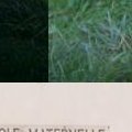 Club de loisirs - Toussaint 2016