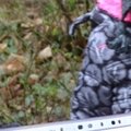 Chasse aux oeufs 2015