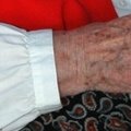 Fête de l'été 2005